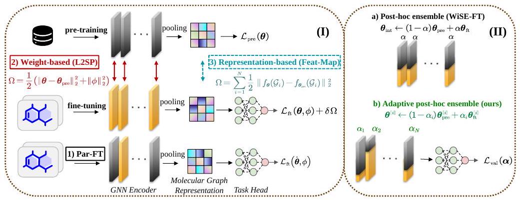Figure from RoFt-Mol: Benchmarking Robust Fine-Tuning with Molecular Graph Foundation Models